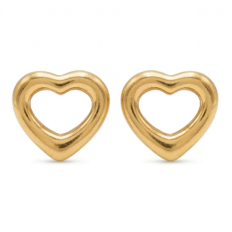 Trendy Earring M00020